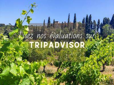 tripadvisor petit sonnailler