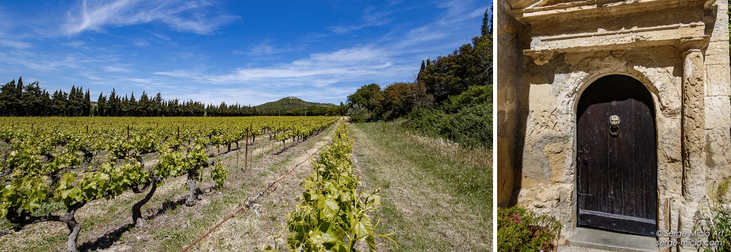 Vin coteau Aix en provence